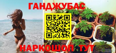 гидра Будённовск