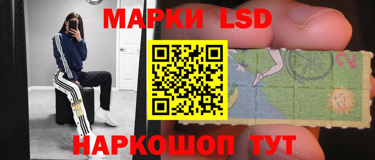 МЕФ Владивосток