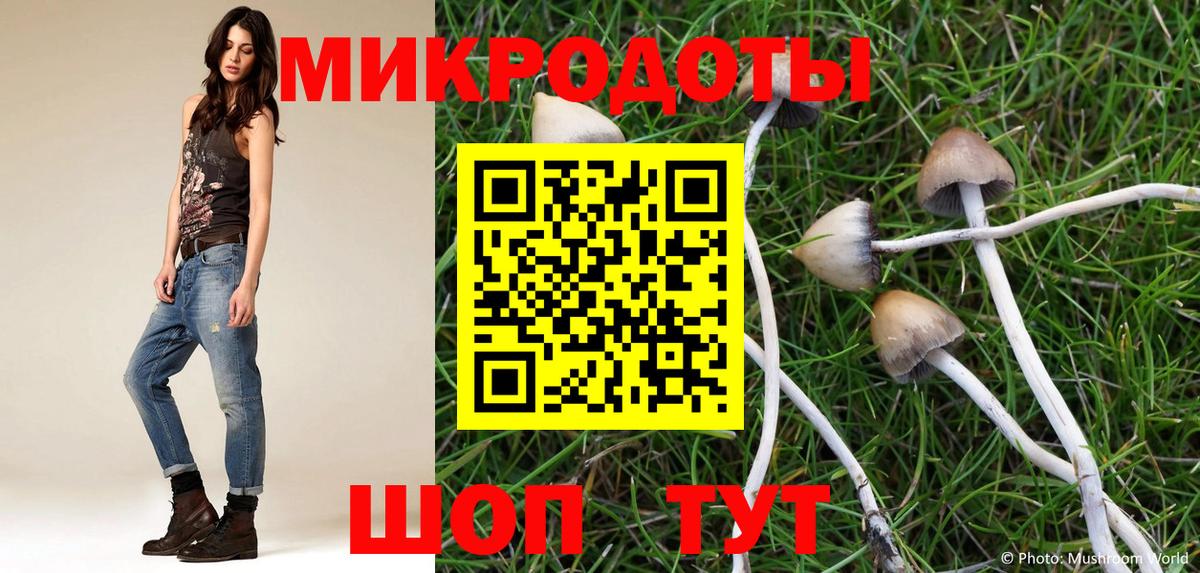 Псилоцибиновые грибы Cubensis Владивосток