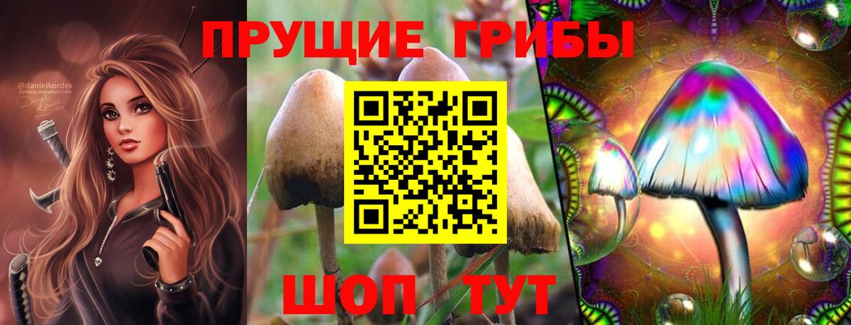 Галлюциногенные грибы Cubensis  Псилоцибиновые грибы MAGIC MUSHROOMS  Владивосток  Вход с VPN 